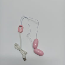 Load image into Gallery viewer, AAV Sex toys,Wired Remote Double Bullet Vibrator - Sex Toys for Couples.
