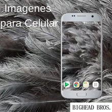 Load image into Gallery viewer, BIGHEAD BROS.- downloadable graphics for mobile phones, giving you high quality graphics
